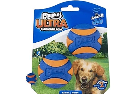 Chuckit Squeaker Ball 2-Pack