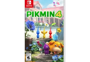 Nintendo Switch Game