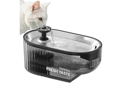 Cat Water Fountain