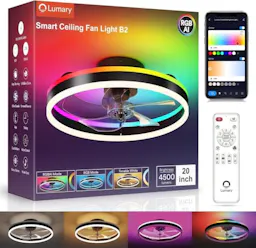 Smart Flush Mount Ceiling Fan