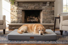 walmart orthopedic dog bed