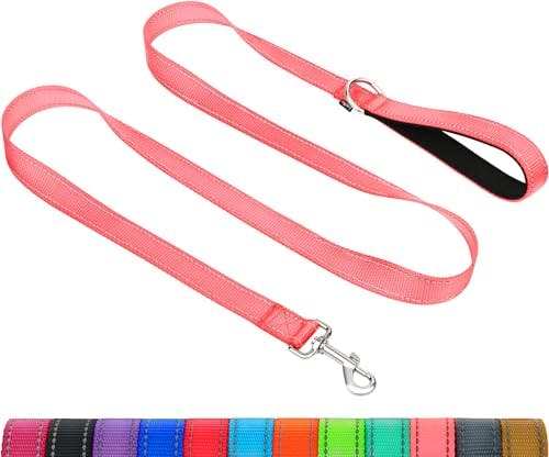 Dog Leash