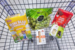 grapes, fruit strips, hummus, snack packs, and graham bears in a cart