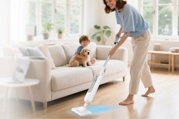 B0GF1TNWV4 steam mop