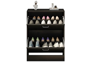 Latitude Run Shoe Storage Cabinet