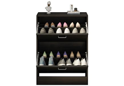 Latitude Run Shoe Storage Cabinet