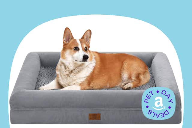 Large Orthopedic Dog Bed, Just $23.99 for Amazon Pet Day (Reg. $43) card image