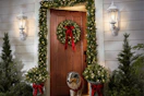 qvc-Bethlehem-Lights-wreaths-garlands