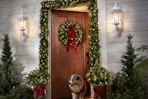 qvc-Bethlehem-Lights-wreaths-garlands