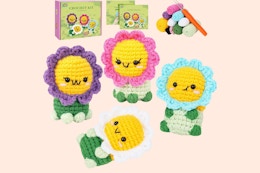 Crochet Kit for Beginners B0DS8K1GF7