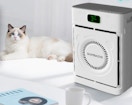 a air purifier on a table next to a cat