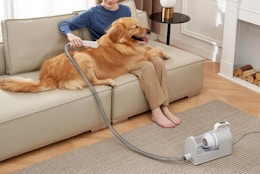Dog Grooming Vacuum, Only $39.99 on Amazon (Reg. $117) card image