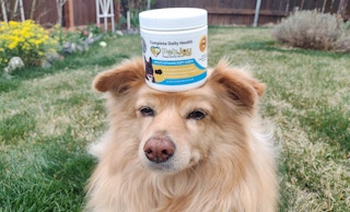 petjoy-dog-supplements-041922-p