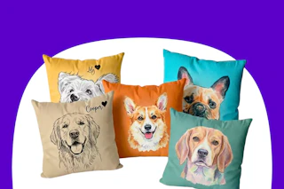 5 custom pet pillows
