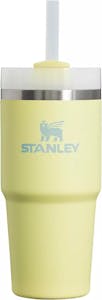 Stanley Quencher Tumbler
