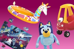 Shop the Best Toy Deals at Walmart From $7: Melissa & Doug, Bluey, and More card image