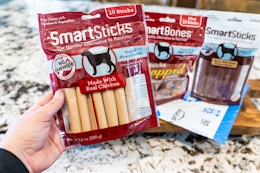 a hand holding a bag of dog treats