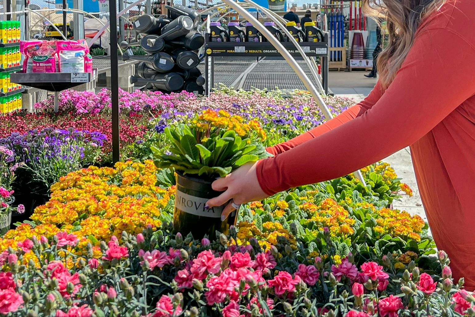 Lowe's SpringFest 2024: Sneak Peek Deals Are Live Now - The Krazy Coupon  Lady