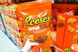 Back in Stock: Reese’s Dipped Animal Crackers Are $7.79 at Costco card image
