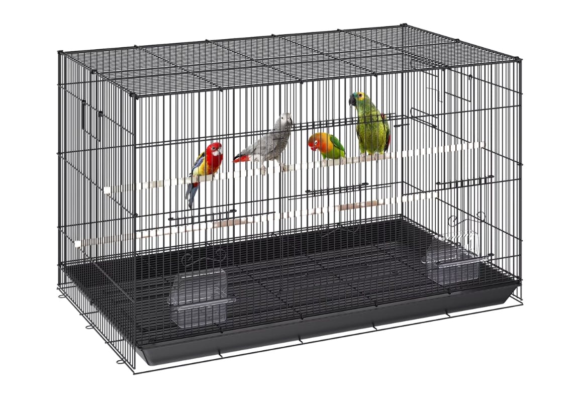 Bird Enclosure