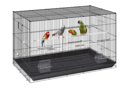 Bird Enclosure