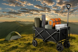 Collapsible Folding Wagon, Just $21.69 on Amazon (Reg. $47) card image