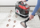 a person spot cleaning paw prints off a carpet