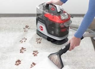 a person spot cleaning paw prints off a carpet