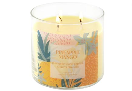 Distant Lands 3-Wick Candle