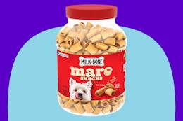 Milk-Bone MaroSnacks Small Dog Treats With Bone Marrow, 40 Ounce Container on a blue background.