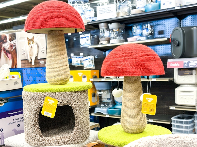 toadstool cat scratchers