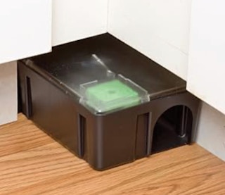 a mouse and rat trap in a corner