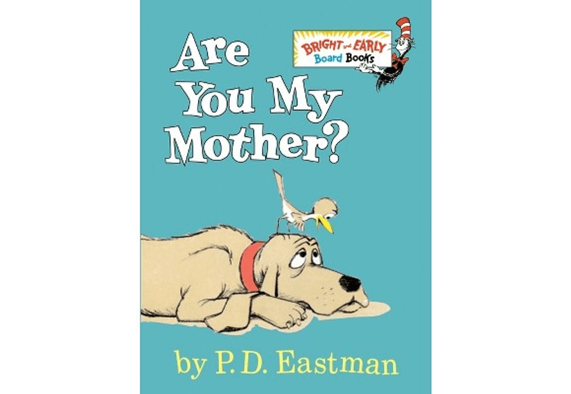 Are You My Mother? Book