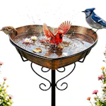 Metal Heart Bird Bath