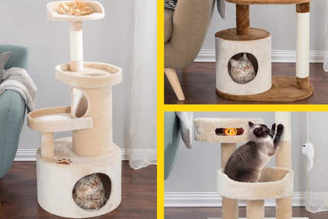 Climb, Scratch, or Lounge: Cat Trees and Condos, Starting at $29.74 Shipped card image