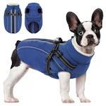 Dog Winter Coat with Harness