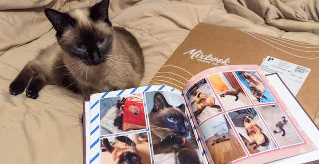 PetSmart Treats Members Month: Get a Free Photo Book & More Goodies in April card image