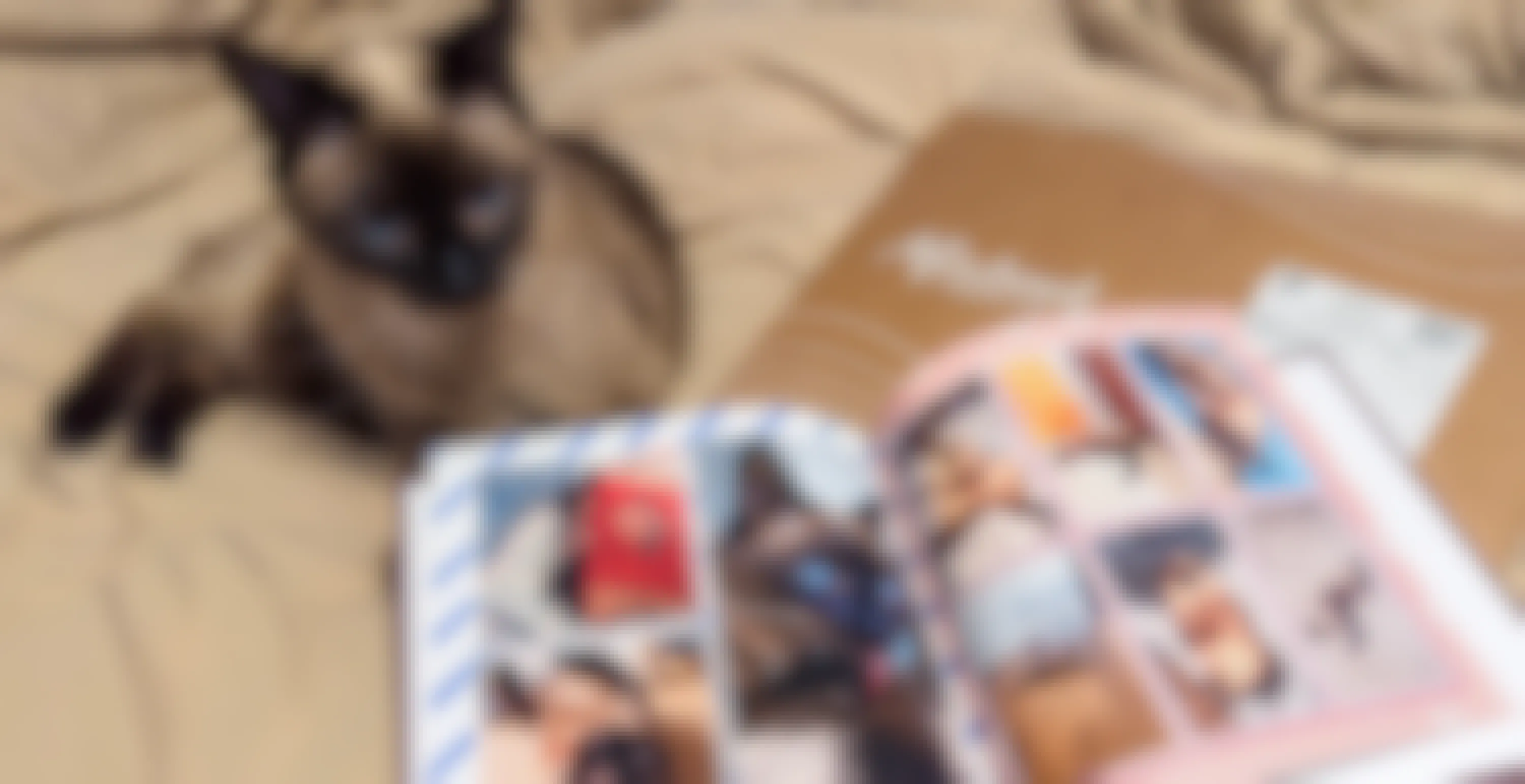 PetSmart Treats Members Month: Get a Free Photo Book & More Goodies in April
