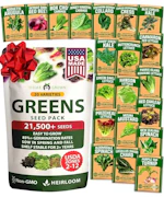 Lettuce Seeds Variety Pack