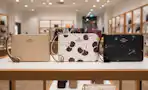 Coach Corner Zip Wristlets
