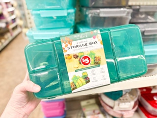 dollar tree snack storage box