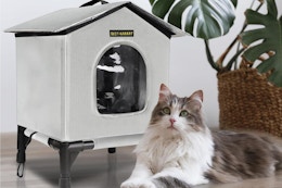 Heated Cat House, Only $34.99 on Amazon (Reg. $70) card image