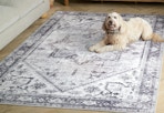 Beige/Gray area rug with a dog laying on it