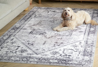 Beige/Gray area rug with a dog laying on it