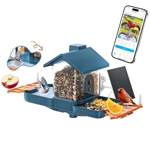 Dual-Lens Bird Feeder
