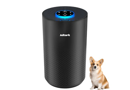 Air Purifier