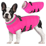 Dog Coat with Harness