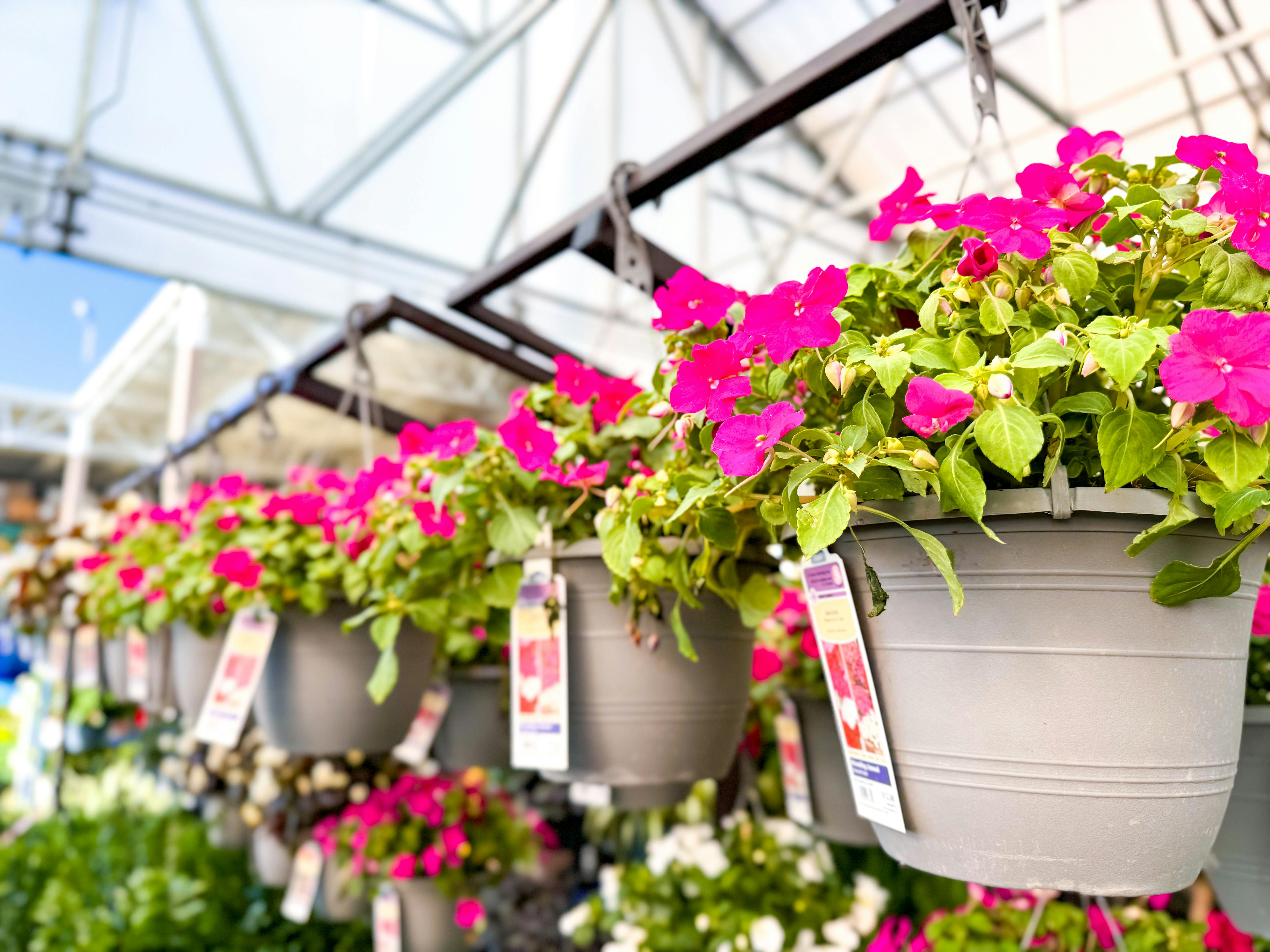 Hanging Flower Baskets, as Low as $8 Each at Lowe's - The Krazy Coupon Lady