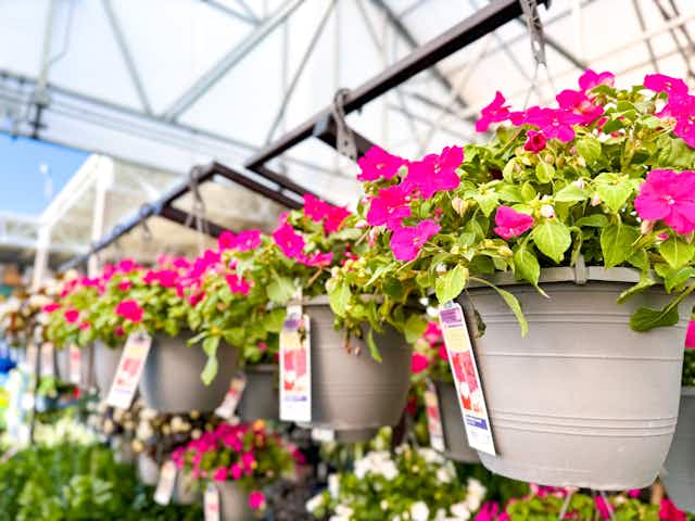 Hanging Flower Baskets, as Low as $8 Each at Lowe's card image