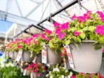 lowes hanging flower baskets